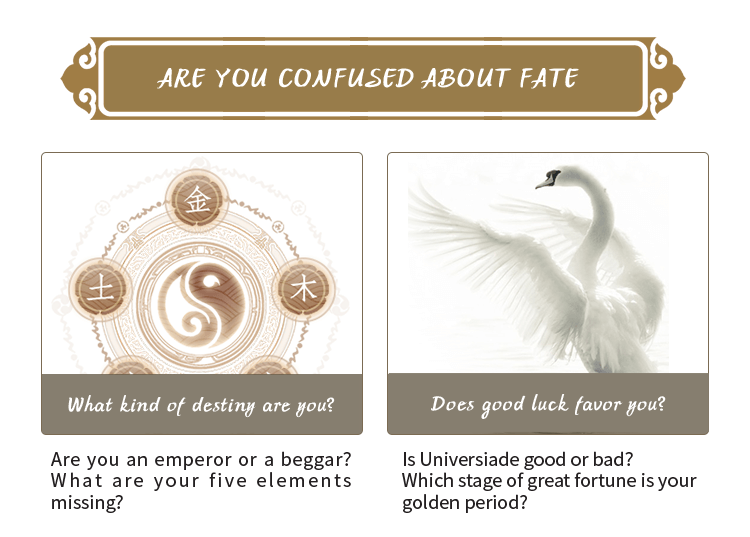 测算后您将知道以下信息